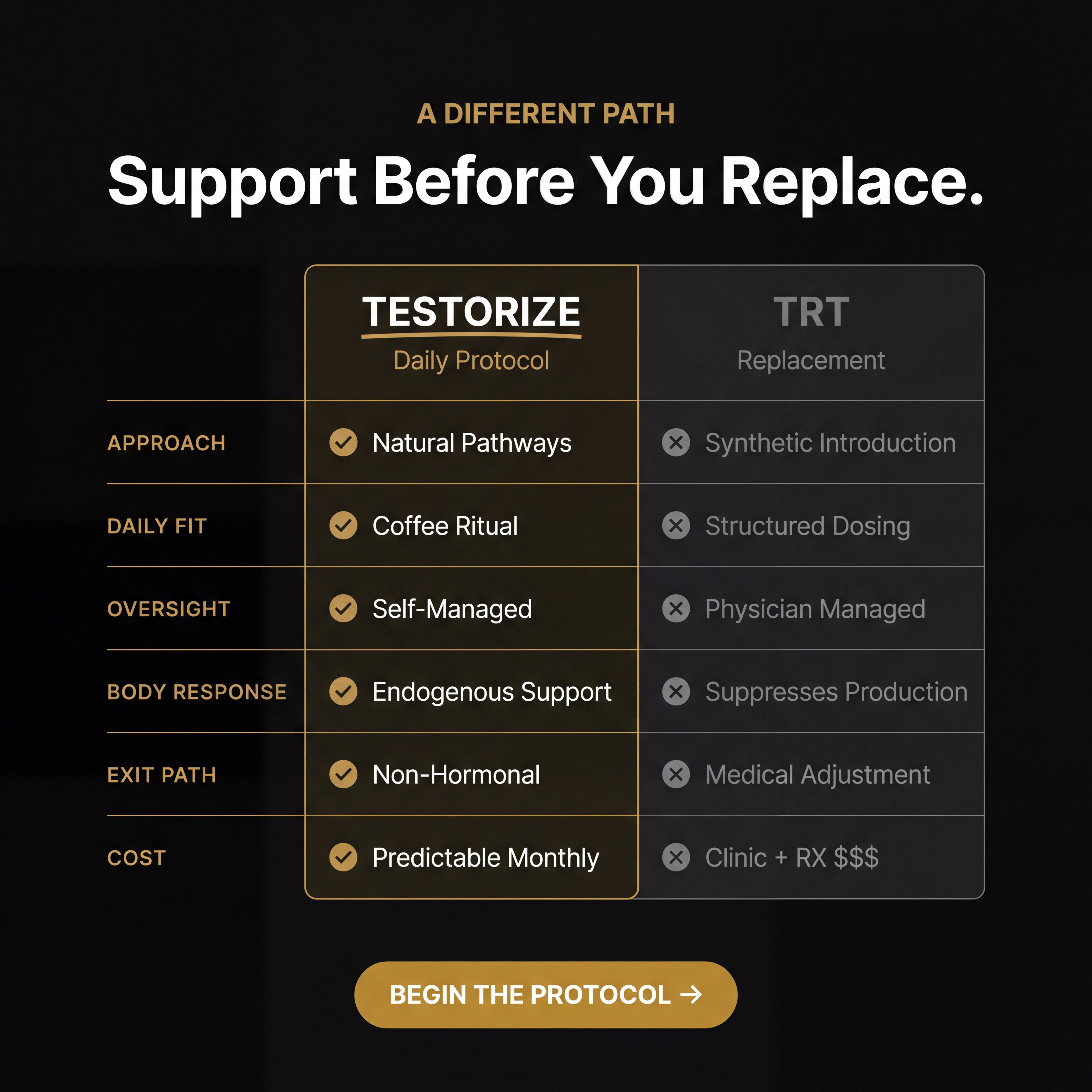 Testorize Daily Coffee